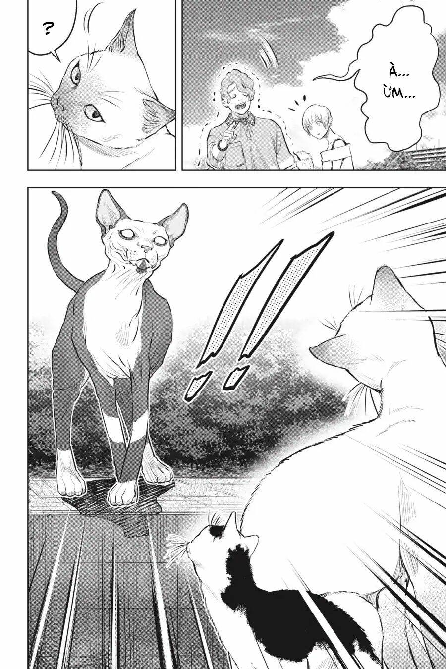 Nyankees Chương 12 Ảnh 36