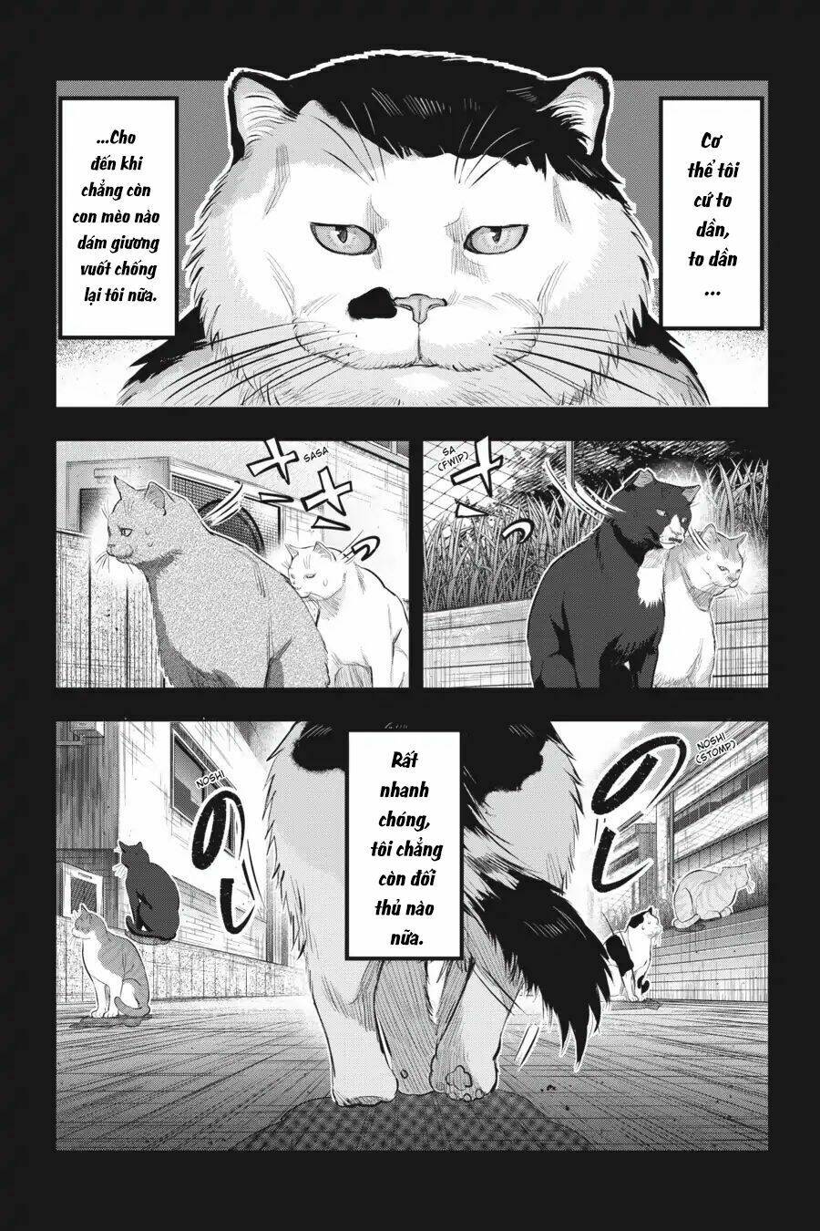Nyankees Chương 7 Ảnh 8