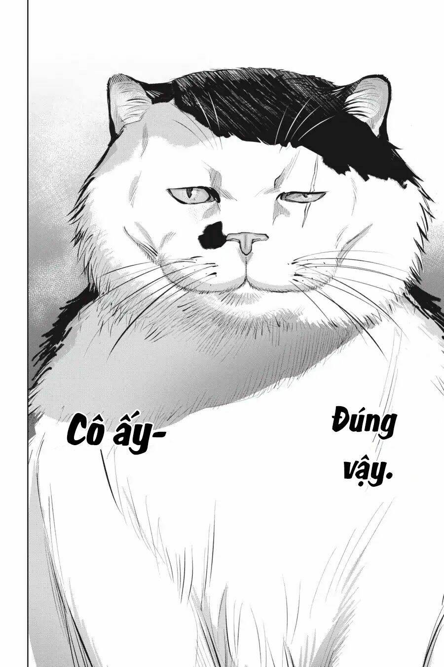 Nyankees Chương 7 Ảnh 19