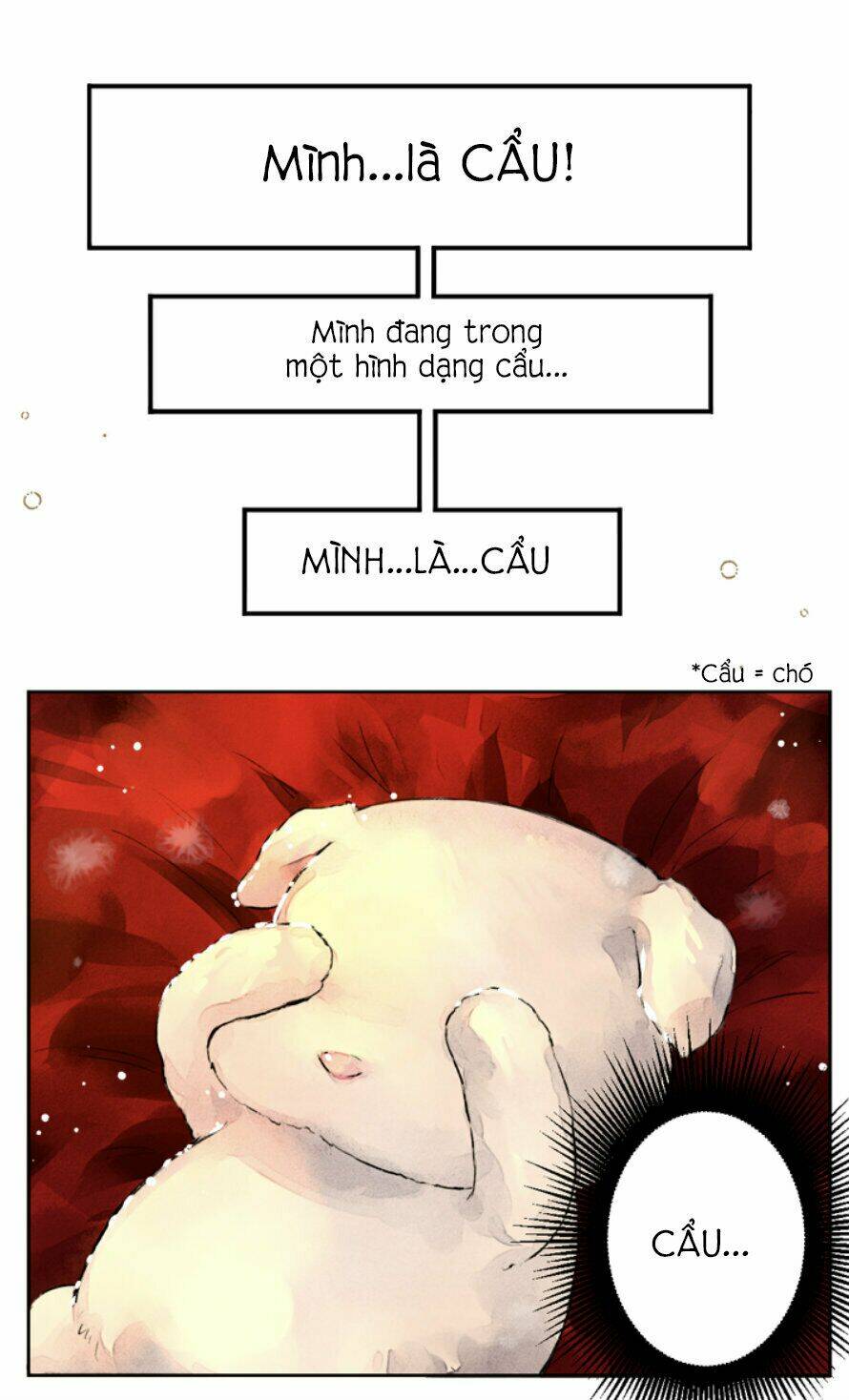 Cún Con Đáng Yêu Của Vị Hoàng Đế! Chương 0 Ảnh 12