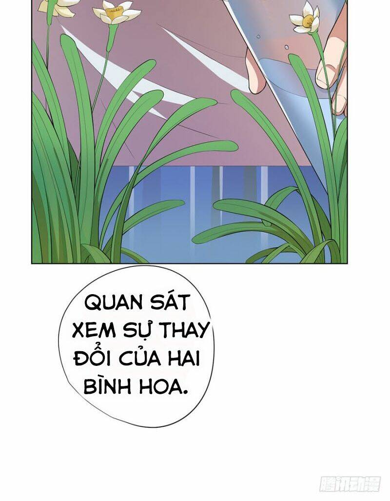 Nghịch Thiên Thần Y Chương 72 Ảnh 26