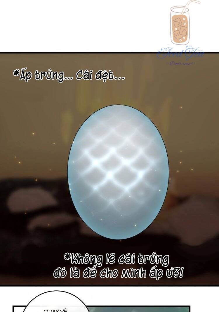 Niên Niên Hữu Ngư Chương 6 Ảnh 4