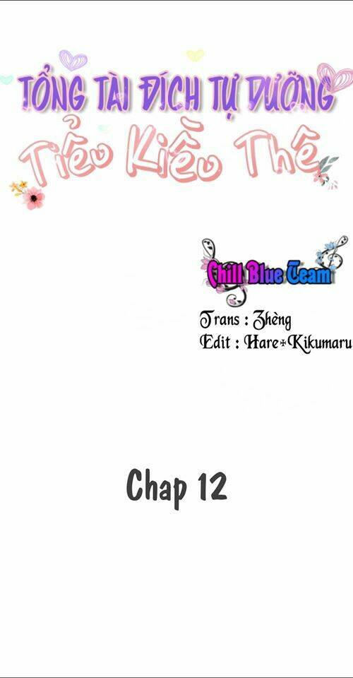 Tổng Tài Đích Tự Dưỡng Tiểu Kiều Thê Chương 12 Ảnh 3