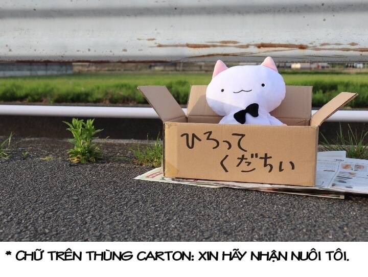 Chú Mèo Kỳ Diệu Kyuu-Chan Chương 800 Ảnh 23