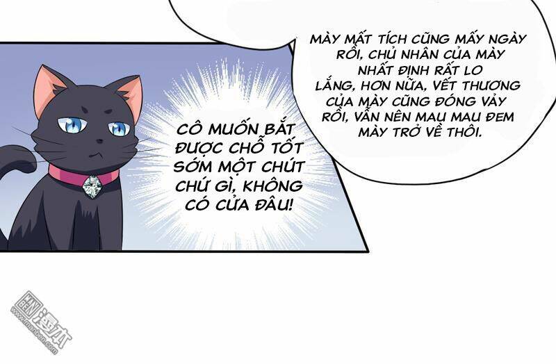 Miêu Vương Tại Thượng Chương 5 Ảnh 19