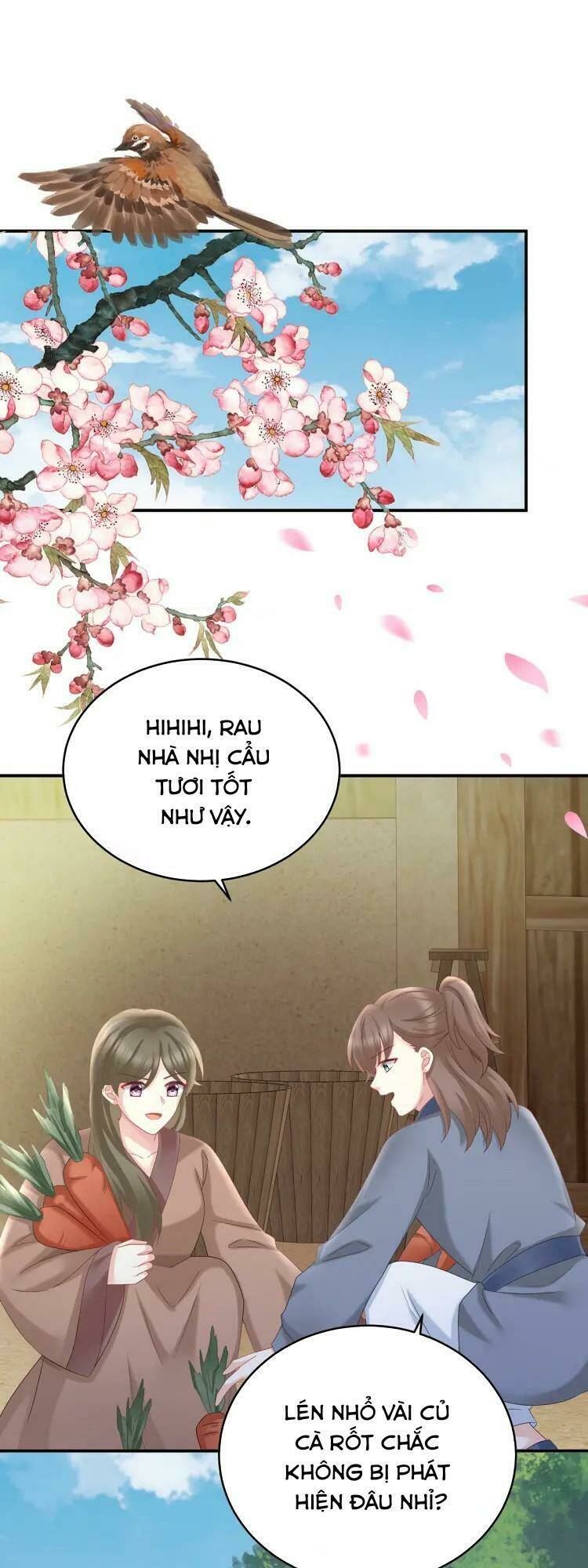 Kiều Phu Có Hỉ Chương 57 Ảnh 5