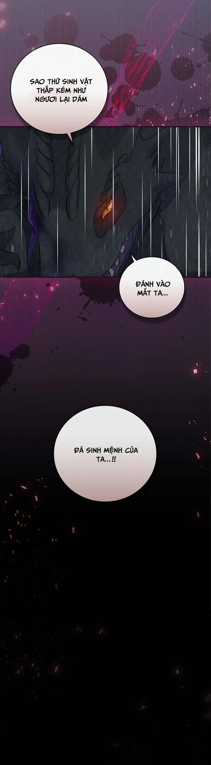 Level Up Chỉ Bằng Cách Ăn Cơm Chương 192 Ảnh 5