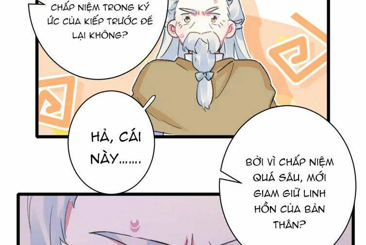 Hoa Nhan Sách Chương 206 Ảnh 16