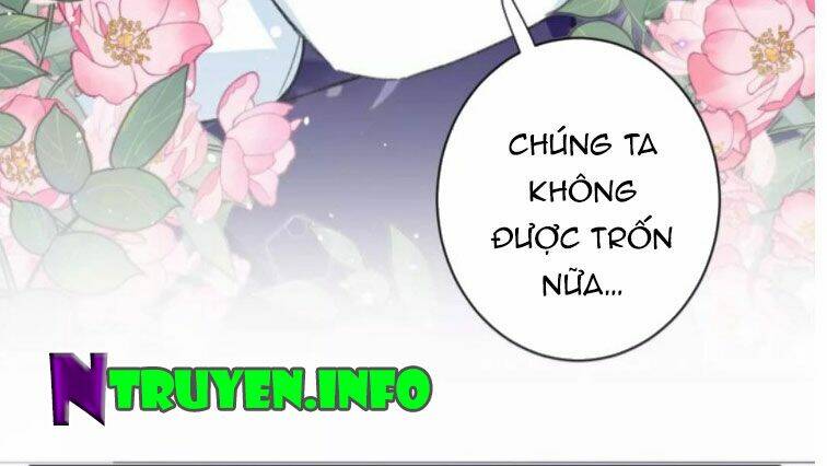 Hoa Nhan Sách Chương 197 Ảnh 6