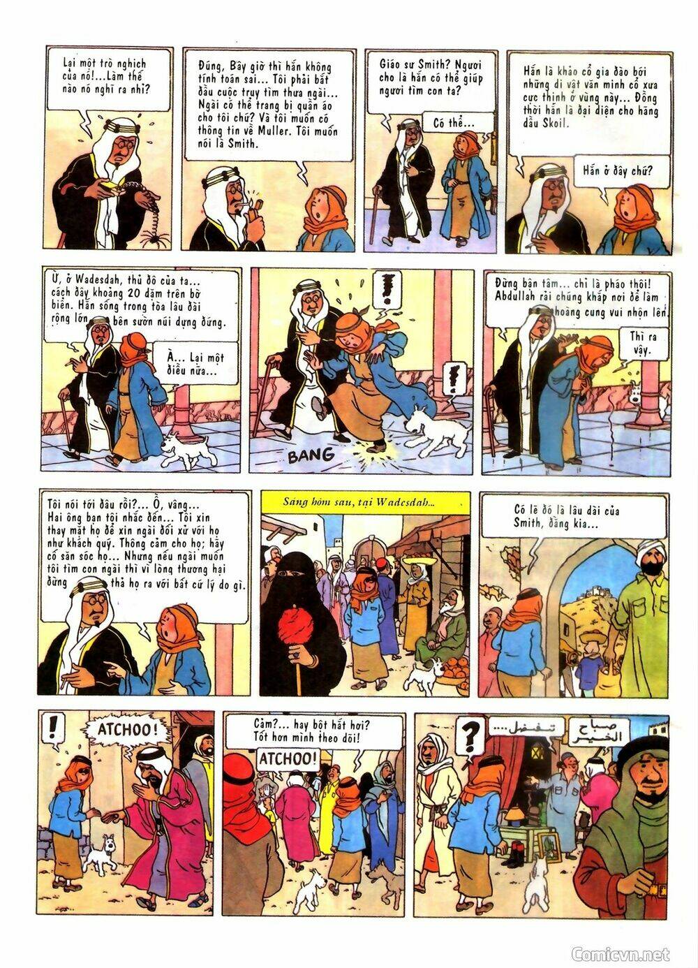 Những Cuộc Phiêu Lưu Của Tintin Chương 2 Ảnh 11