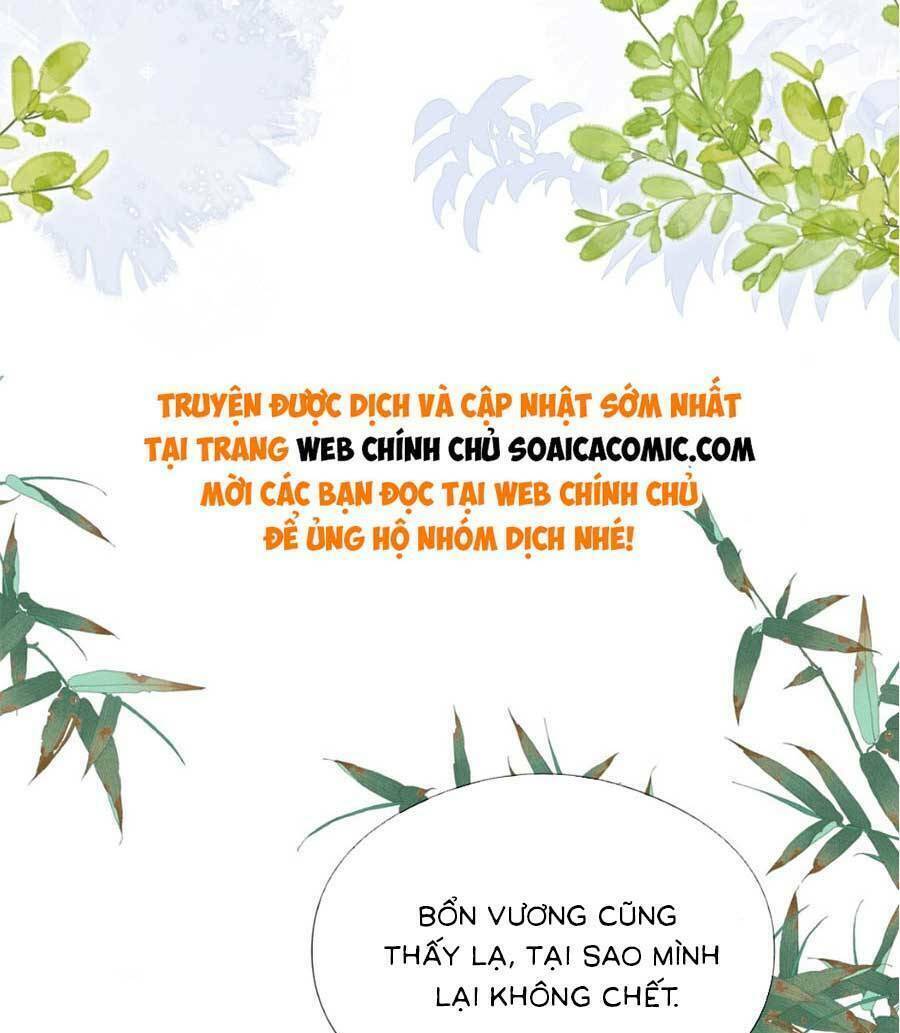Xuyên Không Về Gả Cho Vương Gia Ốm Yếu Chương 5 Ảnh 8