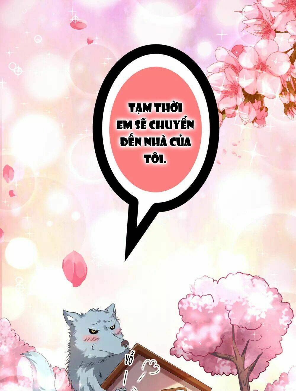 Tôi Bị Tổng Tài Ám Hại Chương 156 Ảnh 19
