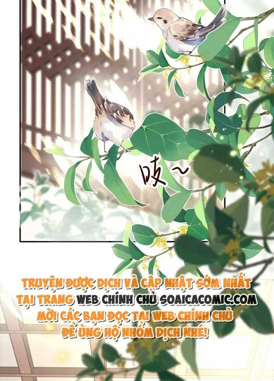 Tướng Quân, Bổn Phi Không Nhận Sủng Chương 37 Ảnh 3