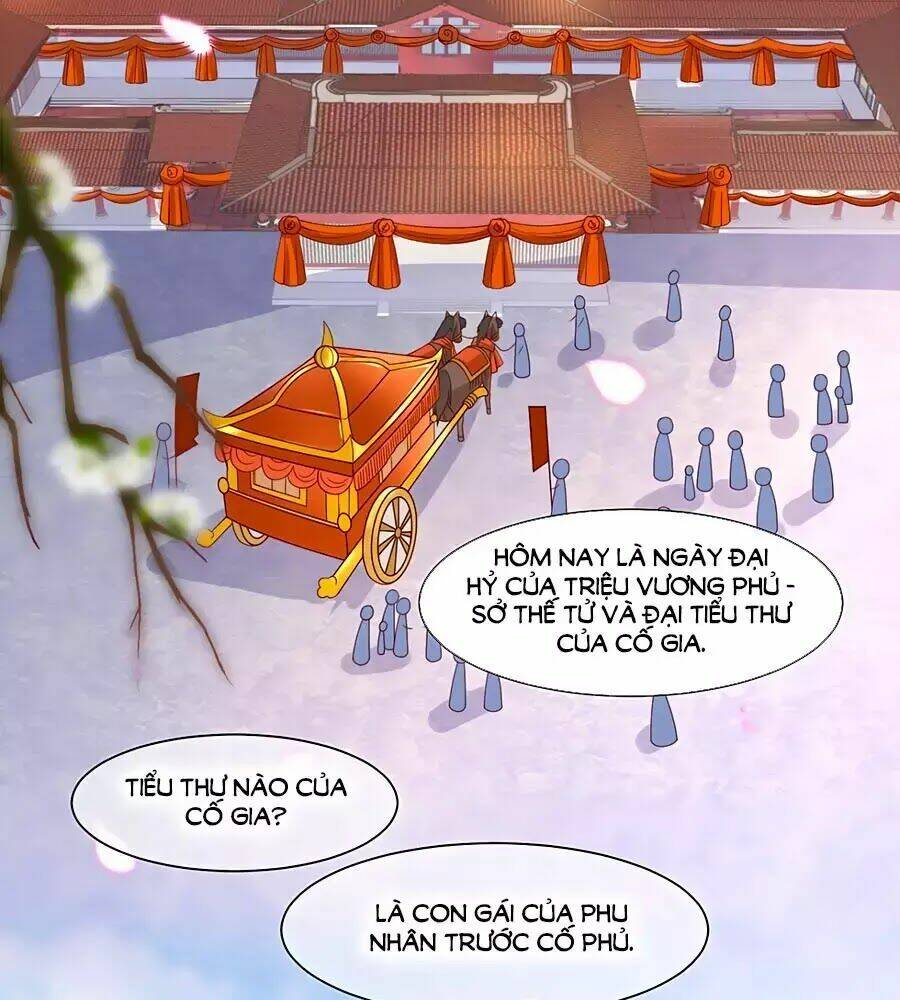 Quyền Phi Chi Đế Y Phong Hoa Chương 1.1 Ảnh 5