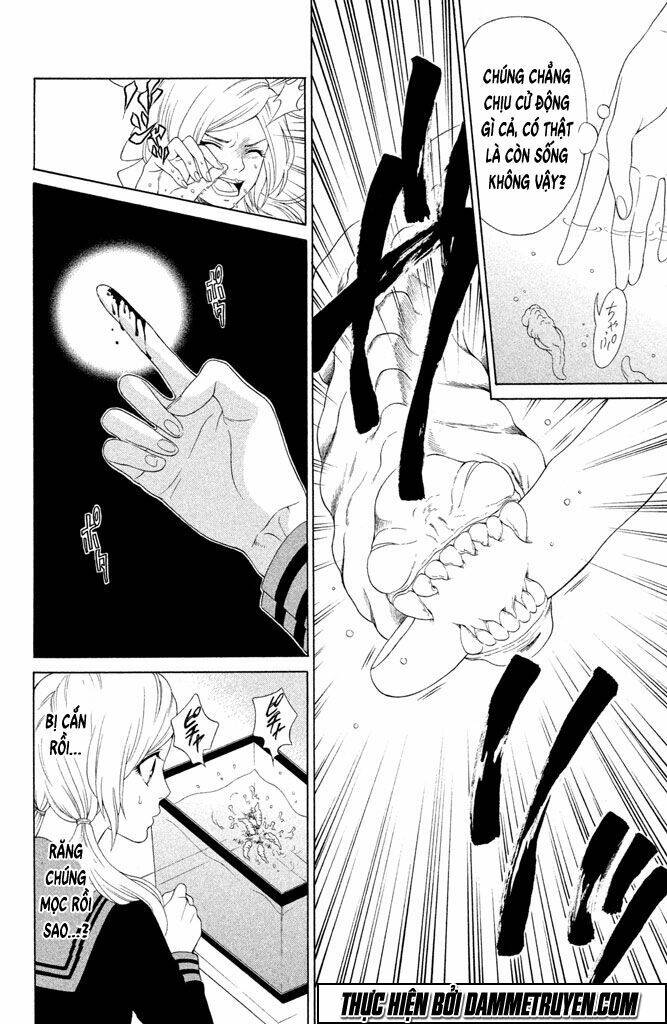 Gakuen Densetsu Hasami Onna Chương 3 Ảnh 5