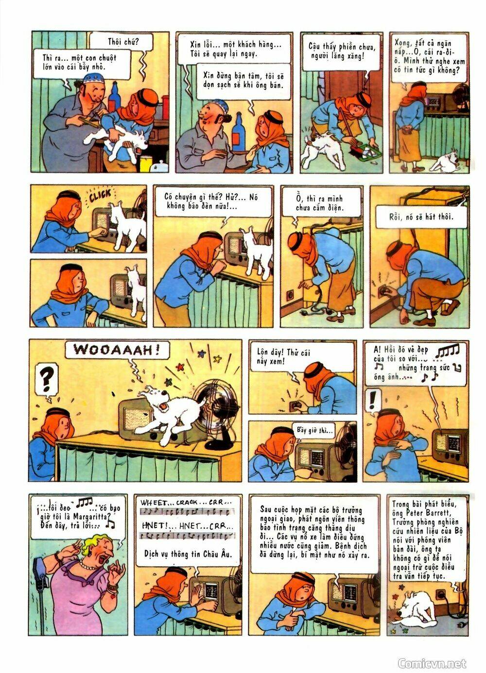 Những Cuộc Phiêu Lưu Của Tintin Chương 2 Ảnh 13