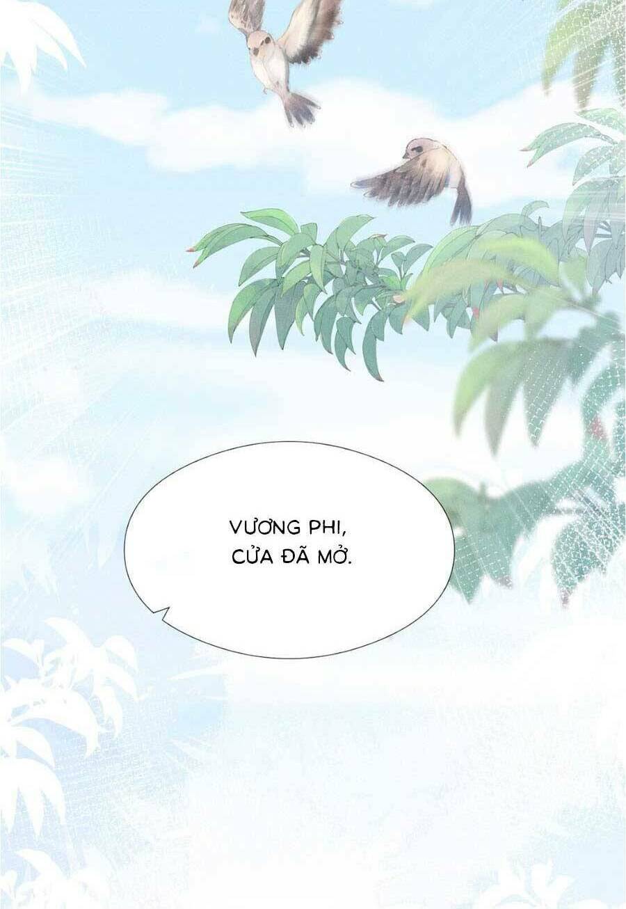Xuyên Không Về Gả Cho Vương Gia Ốm Yếu Chương 10 Ảnh 25