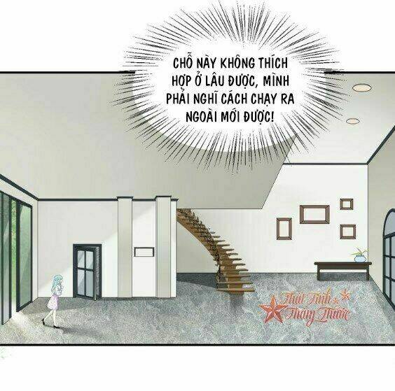 Cẩm Nang Nuôi Dưỡng Ông Xã Chương 1 Ảnh 26