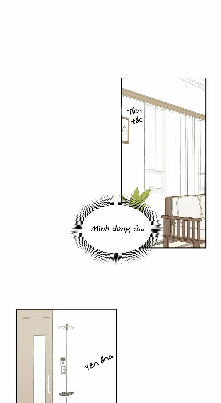 Cuộc Sống Kỳ Thú Chương 98 Ảnh 43