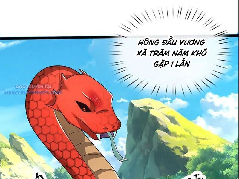 Khắc Đan Tu Tiên Chỉ Cẩu Trường Sinh Chương 65 Ảnh 3