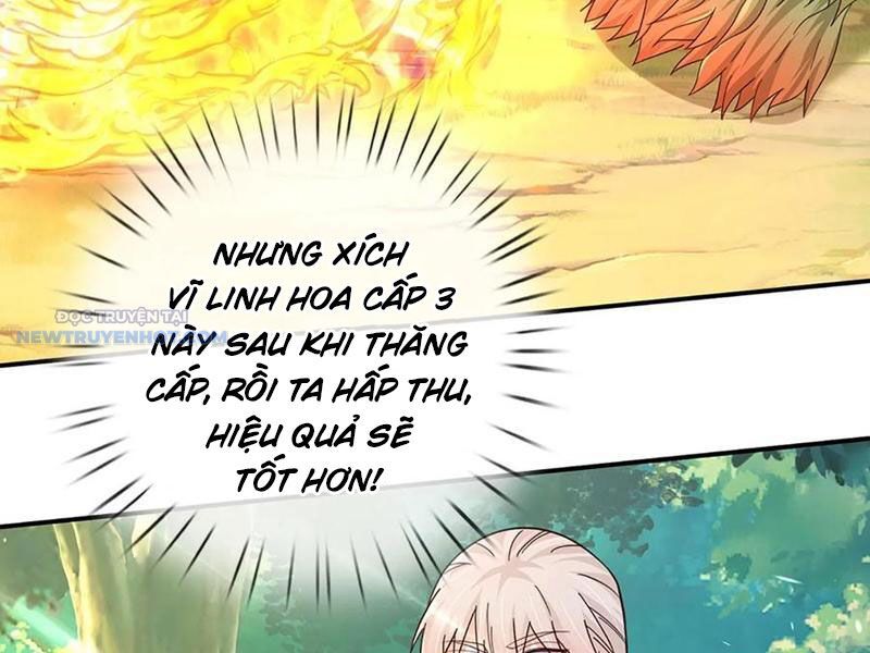 Khắc Đan Tu Tiên Chỉ Cẩu Trường Sinh Chương 62 Ảnh 58