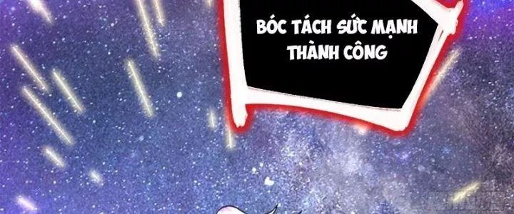 Bổn Tế Tu Chính Là Tiện Đạo Chương 311 Ảnh 80