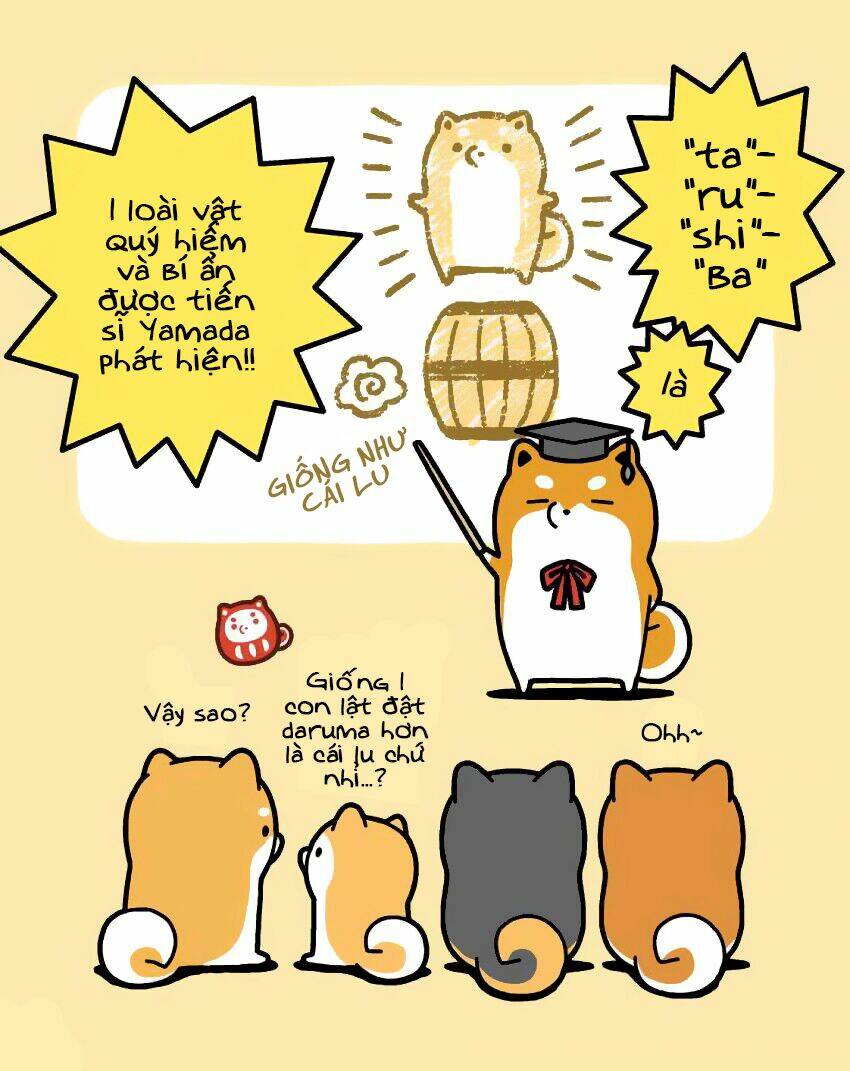 Taru Shiba Chương 9 Ảnh 8
