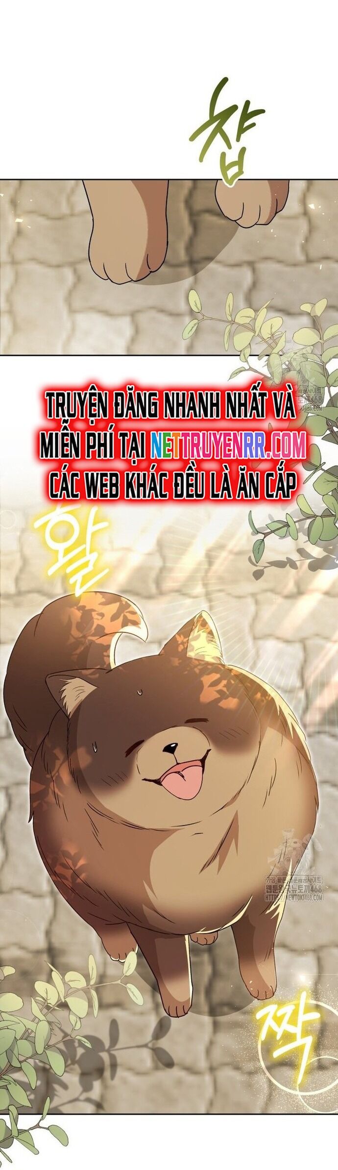 Xin Chào! Bác Sĩ Thú Y Chương 91 Ảnh 39