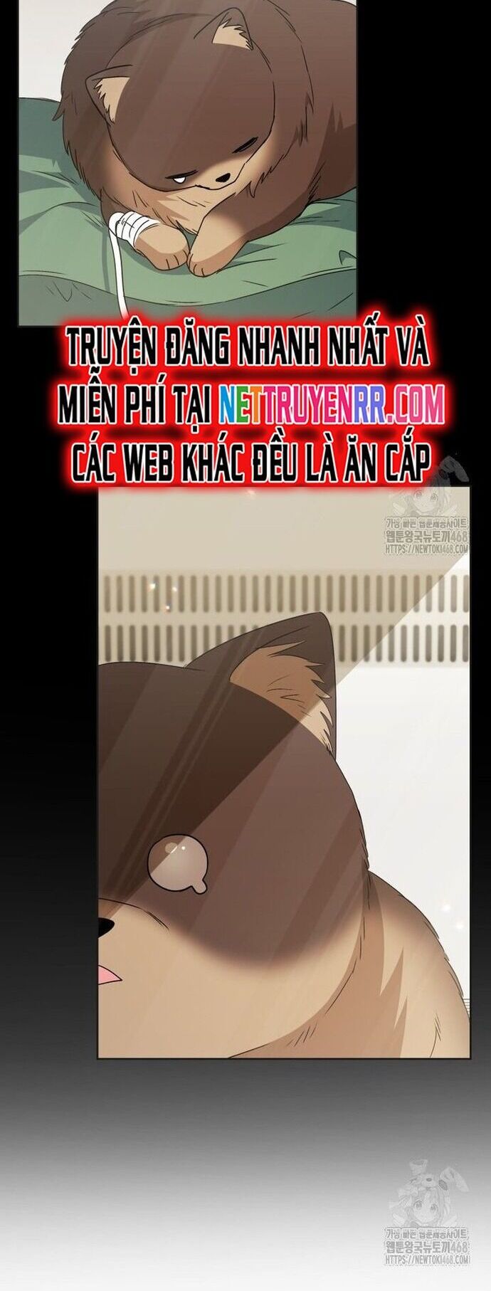 Xin Chào! Bác Sĩ Thú Y Chương 91 Ảnh 8