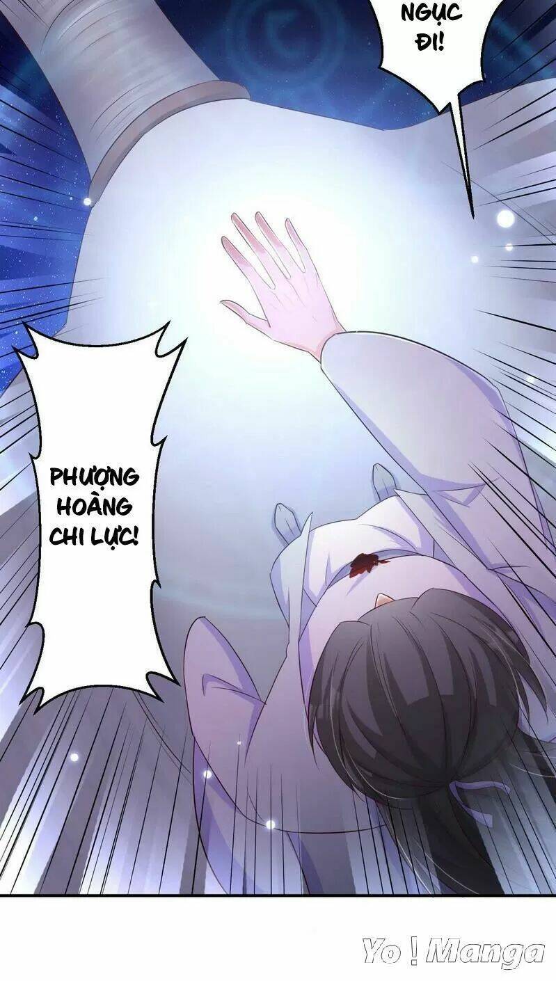 Độc Y Cuồng Phi Chương 73 Ảnh 30