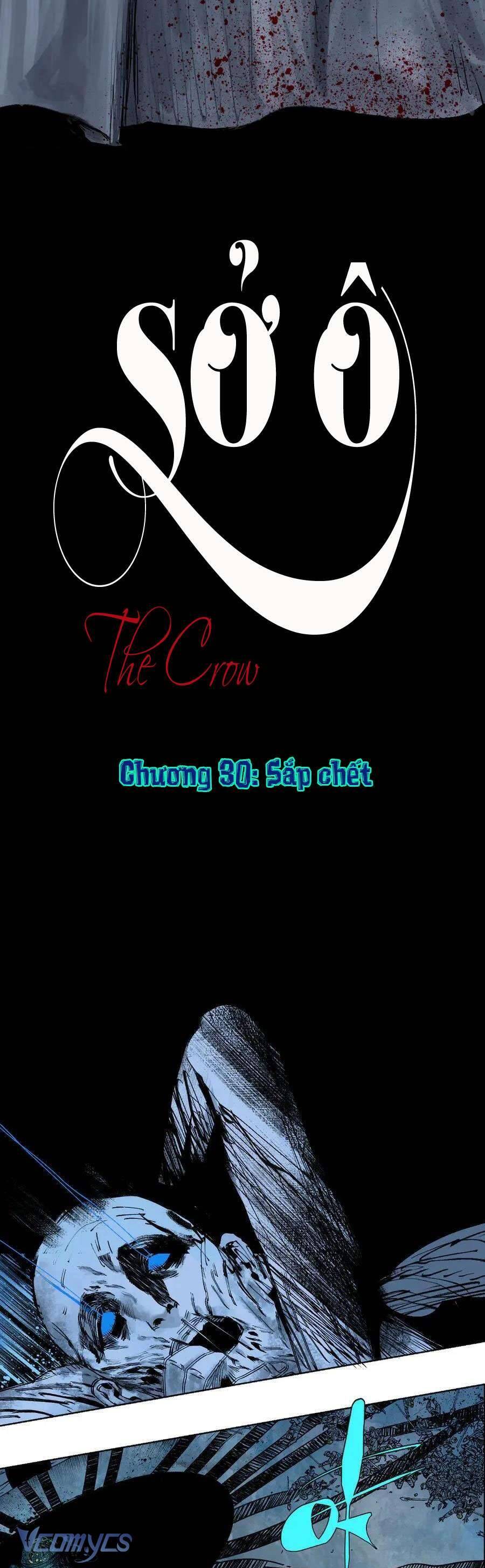 Sở Ô Chương 30 Ảnh 3