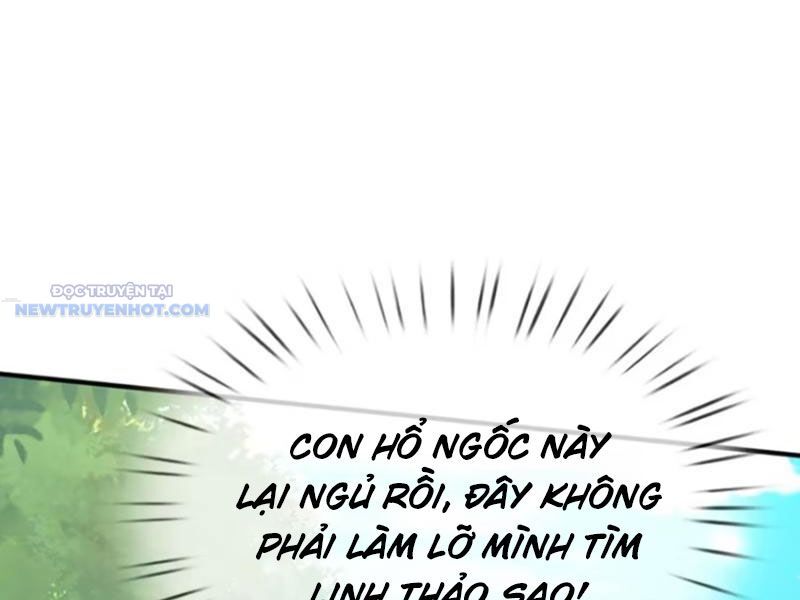Khắc Đan Tu Tiên Chỉ Cẩu Trường Sinh Chương 72 Ảnh 73