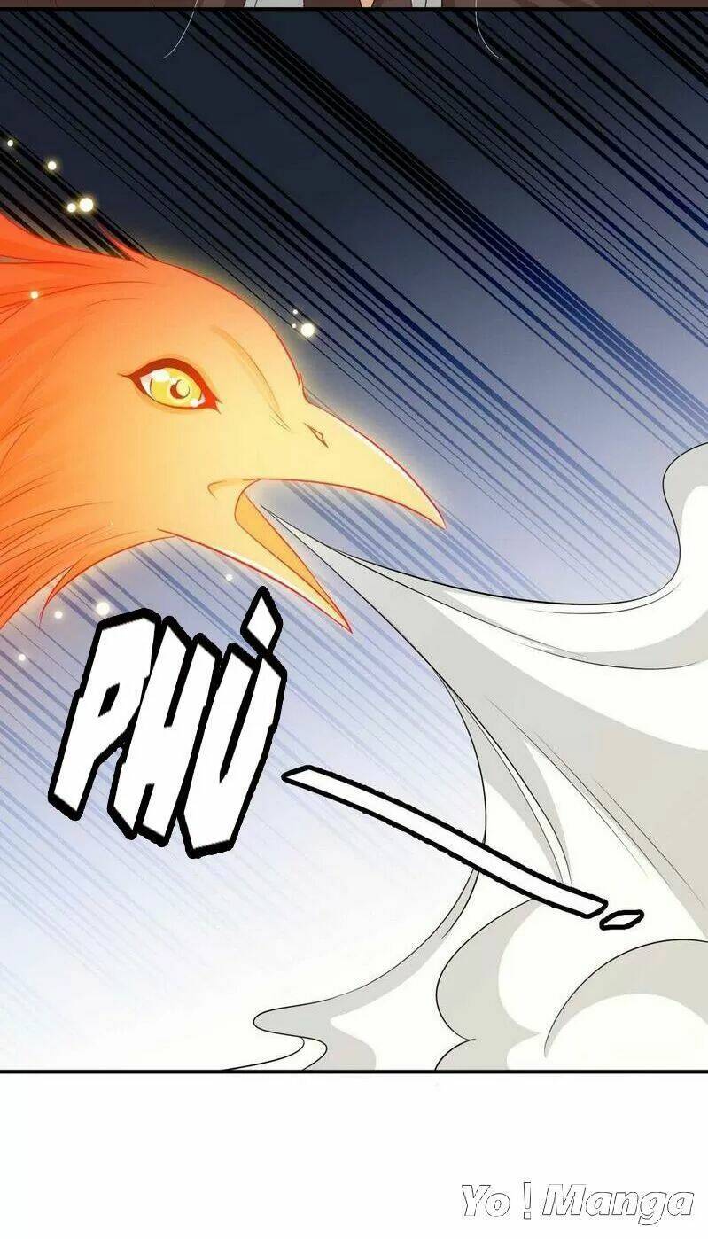Độc Y Cuồng Phi Chương 74 Ảnh 26