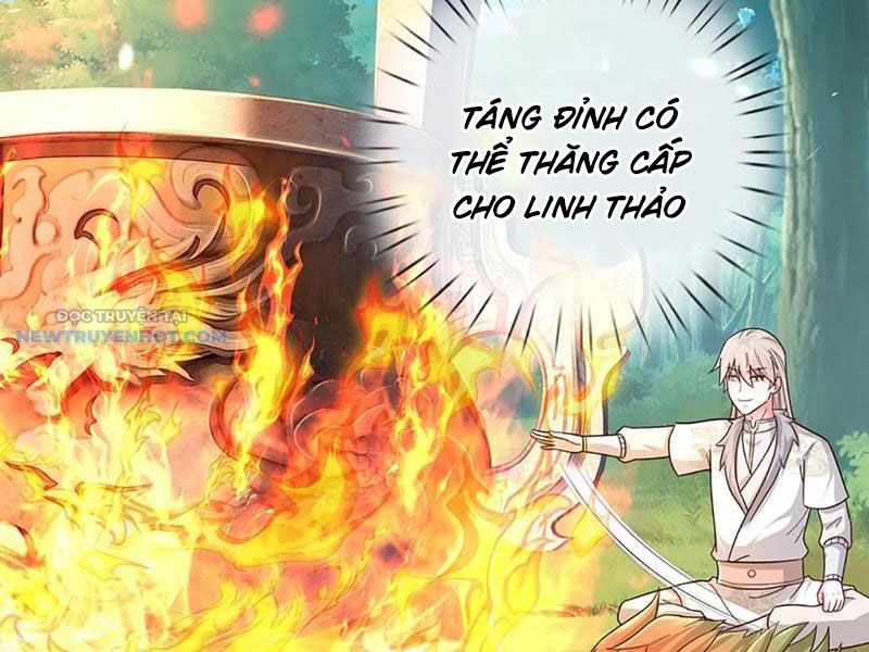 Khắc Đan Tu Tiên Chỉ Cẩu Trường Sinh Chương 62 Ảnh 57
