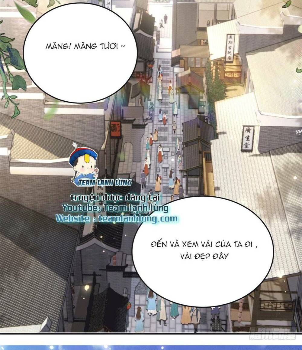 Xuyên Qua Làm Vương Phi Xinh Đẹp Của Vương Gia Chương 24 Ảnh 27