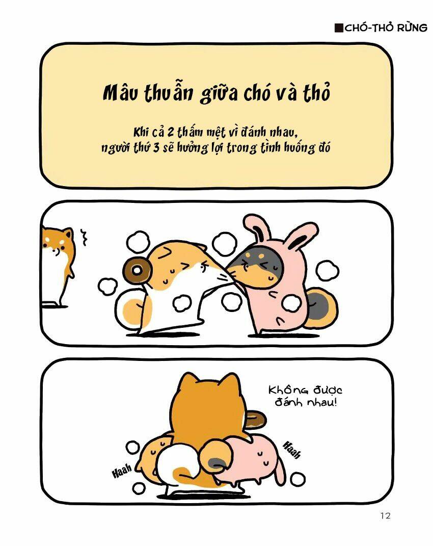 Taru Shiba Chương 9 Ảnh 14
