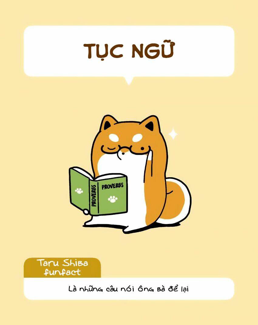 Taru Shiba Chương 9 Ảnh 11