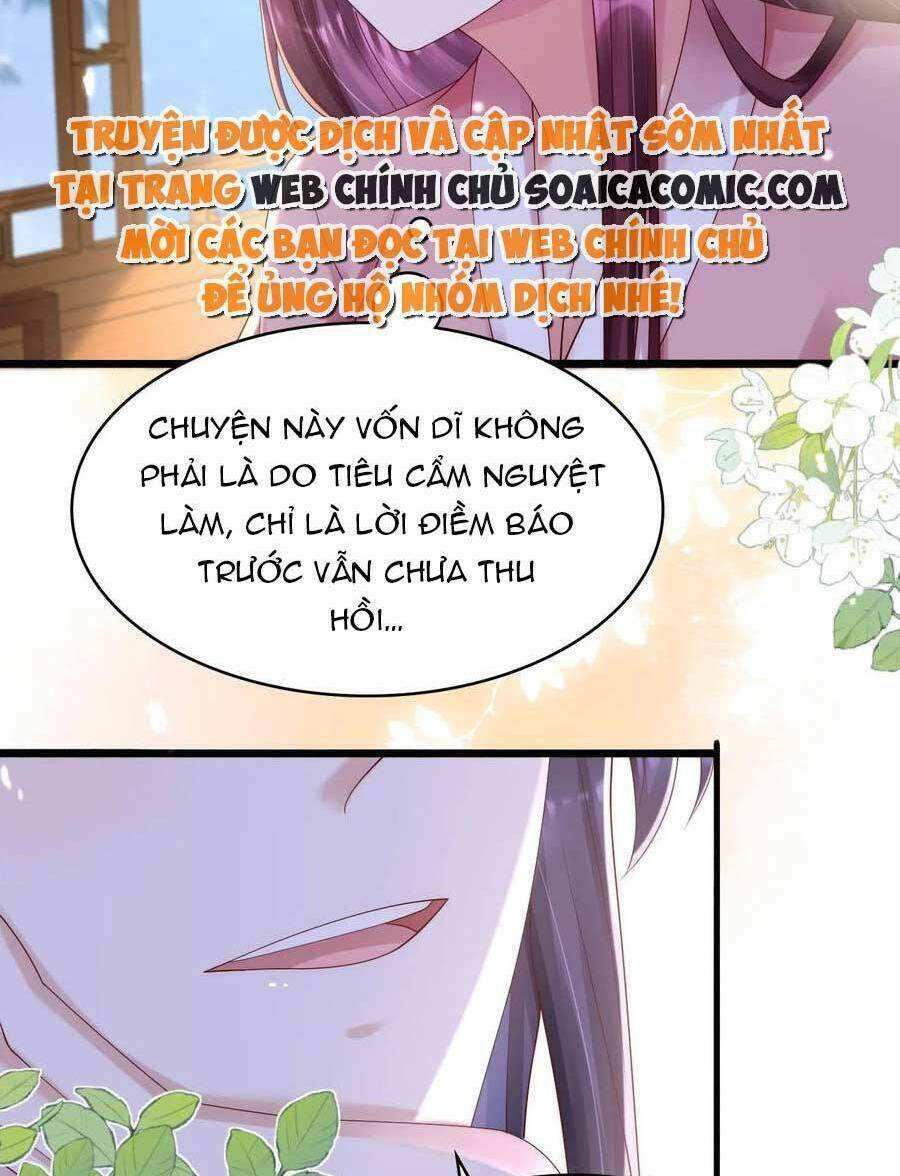 Ta Live Stream Ngược Đãi Nam Chính Chương 23 Ảnh 42