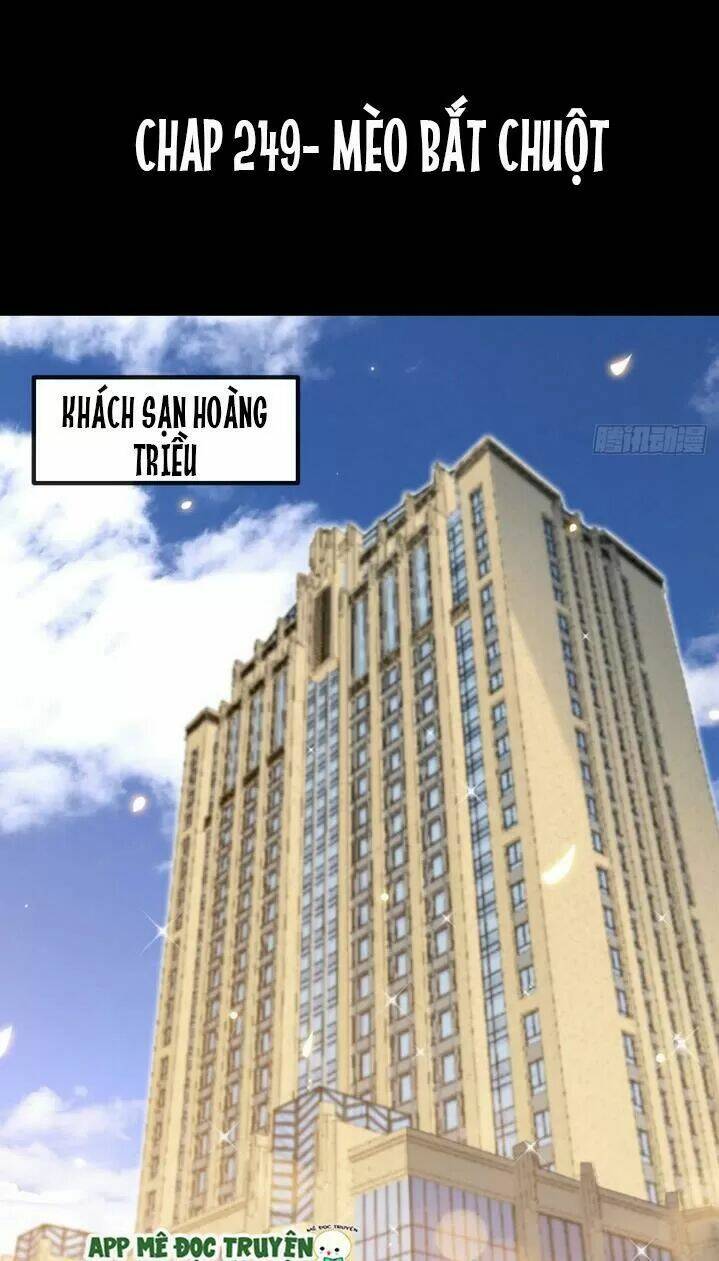 Đế Thiếu Chuyên Sủng Hắc Đạo Thê Chương 249 Ảnh 2