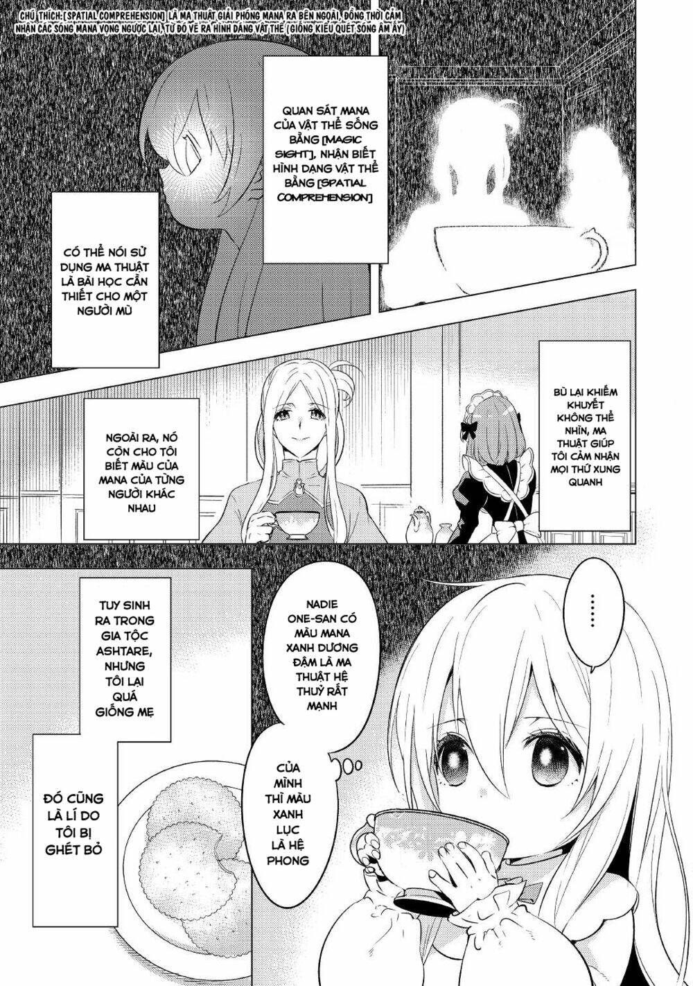 Chuyển Sinh Thành Công Tước Mù Chương 2 Ảnh 8