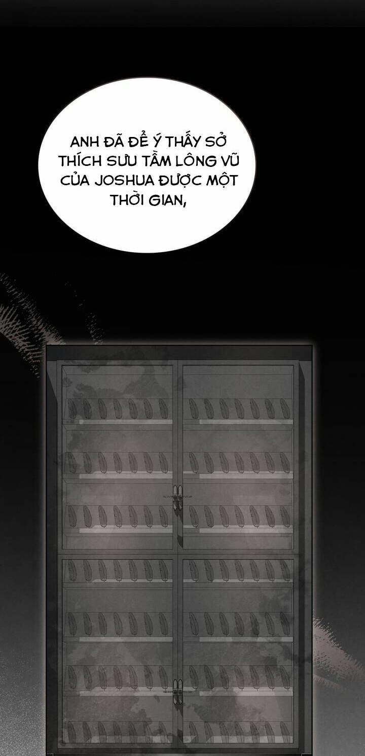 Ánh Sáng Vàng Của Bình Minh Chương 64 Ảnh 41