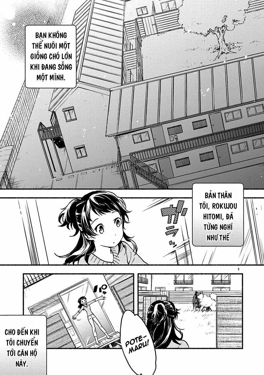 One-Room Wanko Chương 2 Ảnh 3