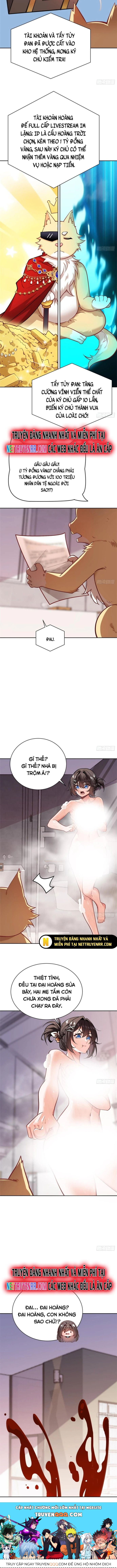 Kế Hoạch Bồi Dưỡng Streamer Của Cẩu Hoàng Chương 2 Ảnh 8
