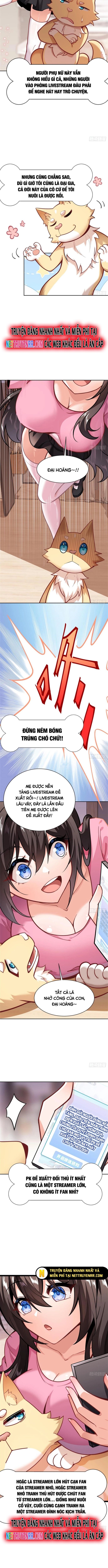 Kế Hoạch Bồi Dưỡng Streamer Của Cẩu Hoàng Chương 3 Ảnh 4