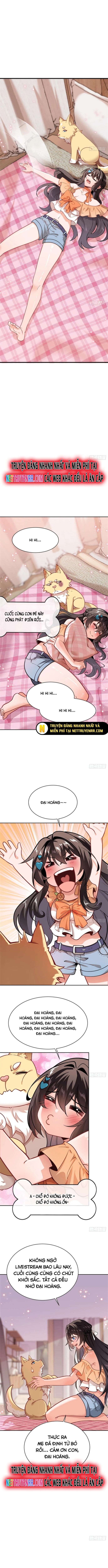 Kế Hoạch Bồi Dưỡng Streamer Của Cẩu Hoàng Chương 2 Ảnh 5