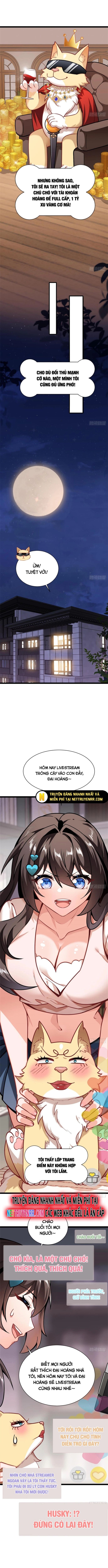 Kế Hoạch Bồi Dưỡng Streamer Của Cẩu Hoàng Chương 3 Ảnh 5