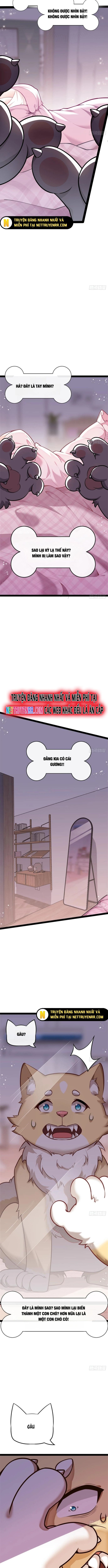 Kế Hoạch Bồi Dưỡng Streamer Của Cẩu Hoàng Chương 1 Ảnh 3