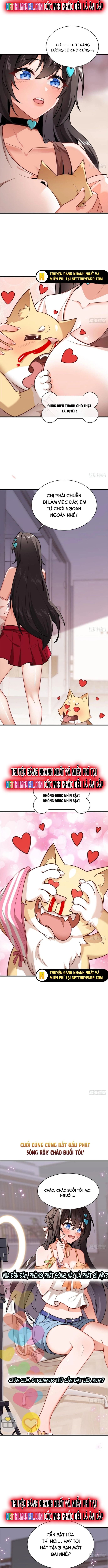 Kế Hoạch Bồi Dưỡng Streamer Của Cẩu Hoàng Chương 1 Ảnh 8