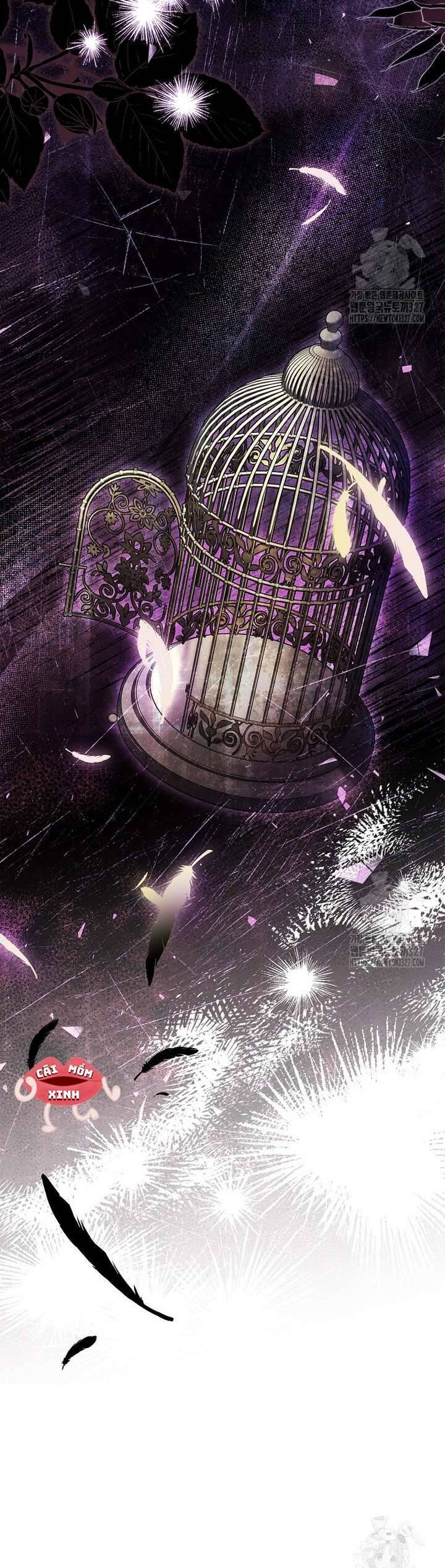 Tôi Phải Mau Chóng Kết Hôn Vì Thời Gian Có Hạn Chương 29 Ảnh 45