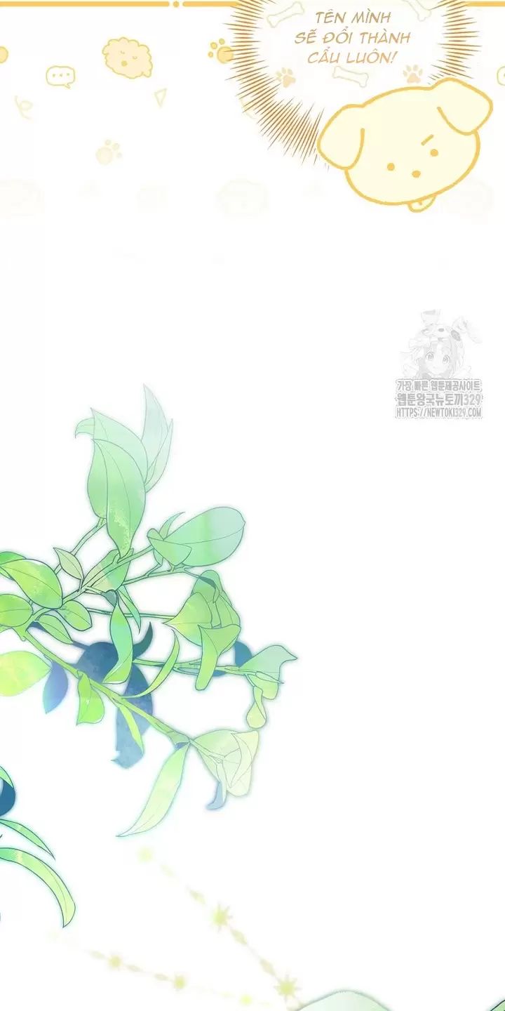 Tôi Phải Mau Chóng Kết Hôn Vì Thời Gian Có Hạn Chương 31 Ảnh 44